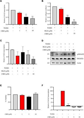 Cannabidiol markedly alleviates skin and liver fibrosis